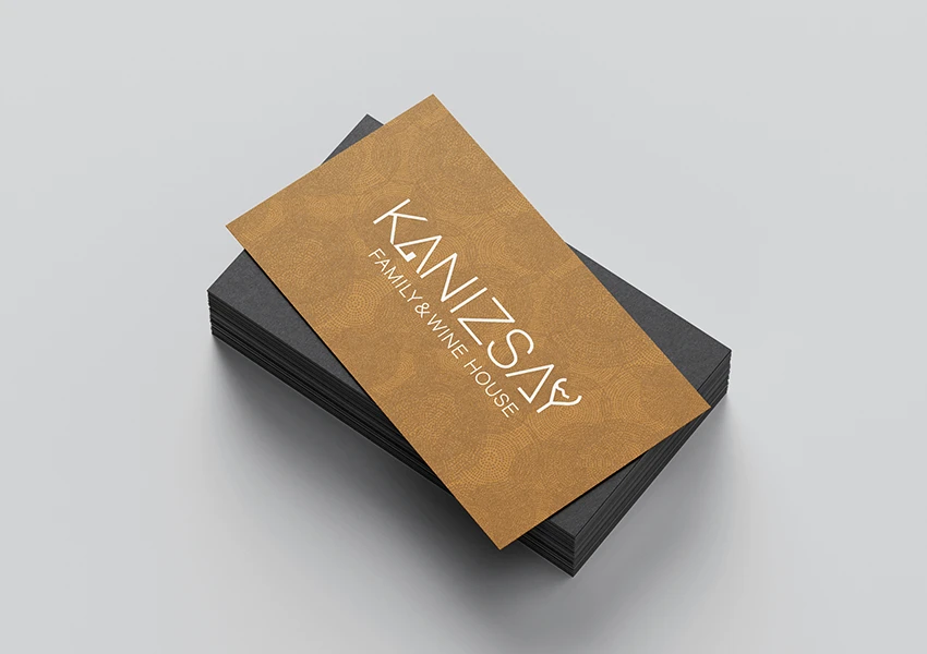 Kanizsay logo 03